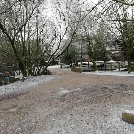 Holiday Home In Quend-Plage Near Forest, Cleaning Included Vakantiehuis *